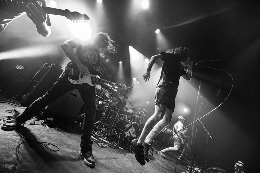 Gallamesh live in Nijmegen, The Netherlands