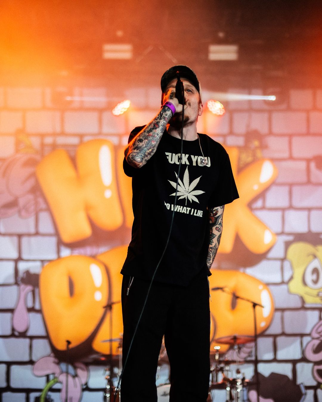 Neck Deep live in Ysselsteyn, The Netherlands
