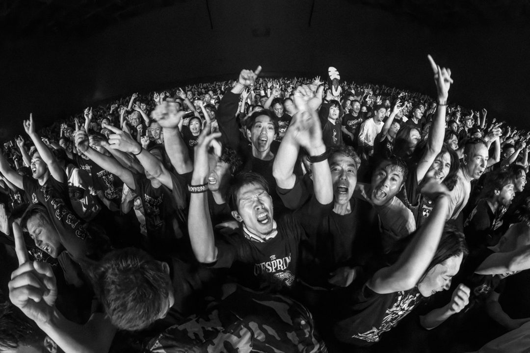 The Offspring live in Nagoya, Japan