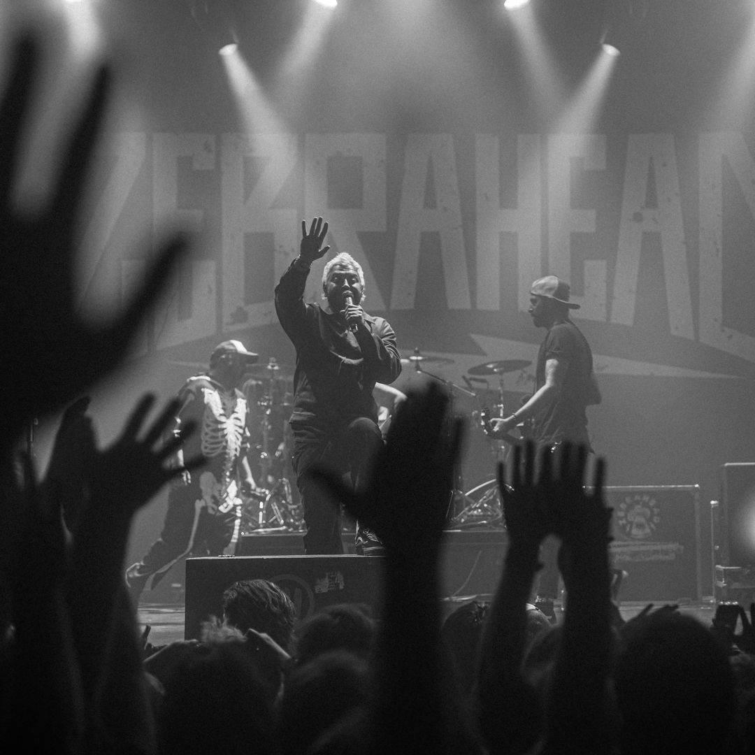 Zebrahead live in Utrecht, The Netherlands
