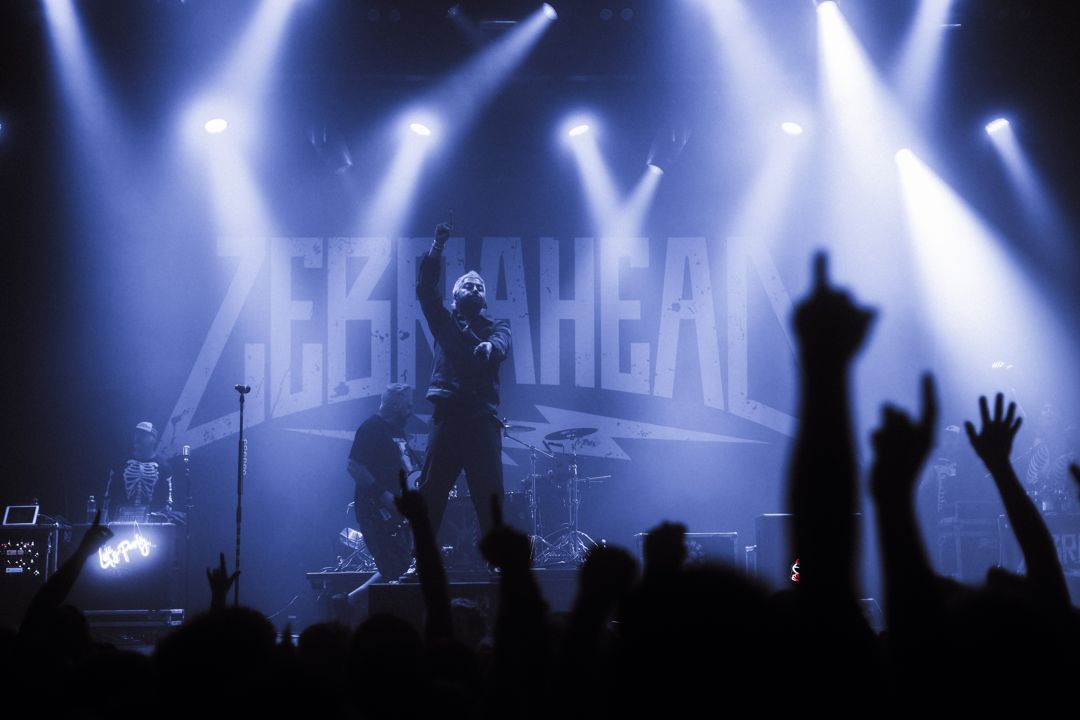 Zebrahead live in Utrecht, The Netherlands