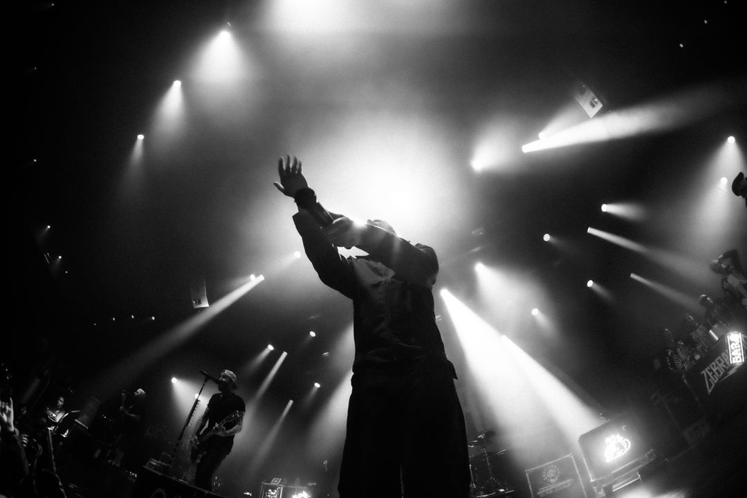Zebrahead live in Utrecht, The Netherlands