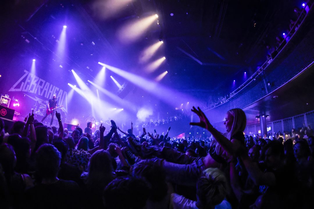 Zebrahead live in Utrecht, The Netherlands