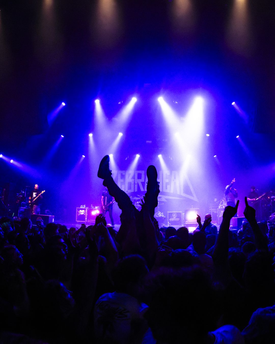 Zebrahead live in Utrecht, The Netherlands