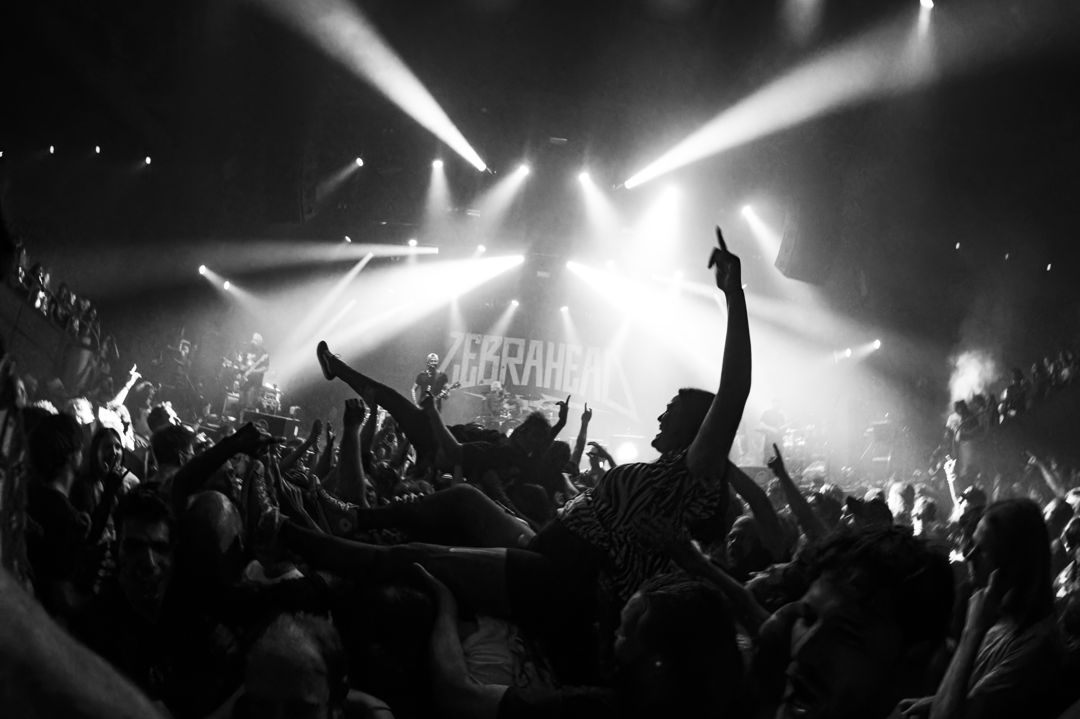 Zebrahead live in Utrecht, The Netherlands