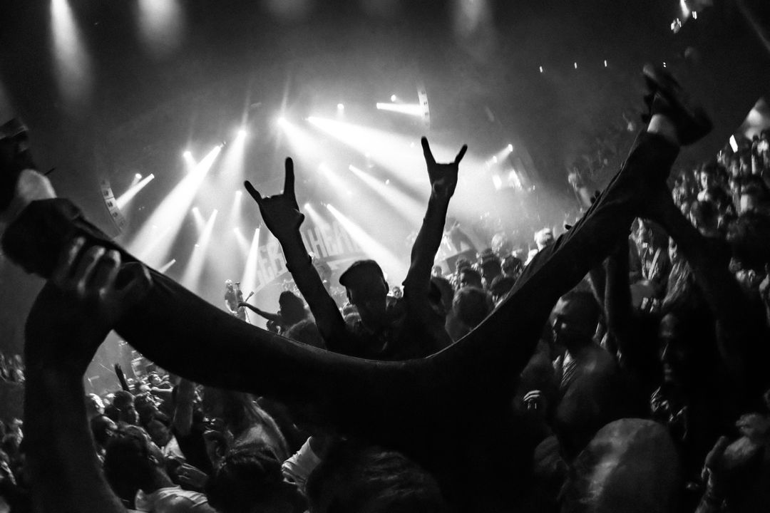 Zebrahead live in Utrecht, The Netherlands