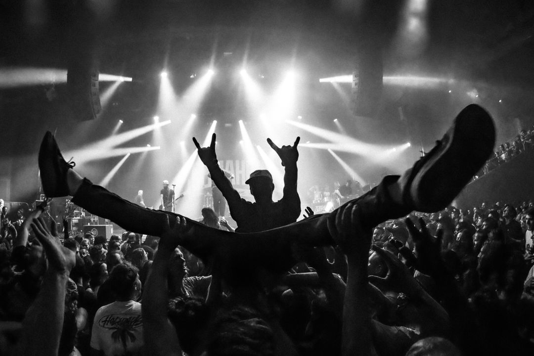Zebrahead live in Utrecht, The Netherlands