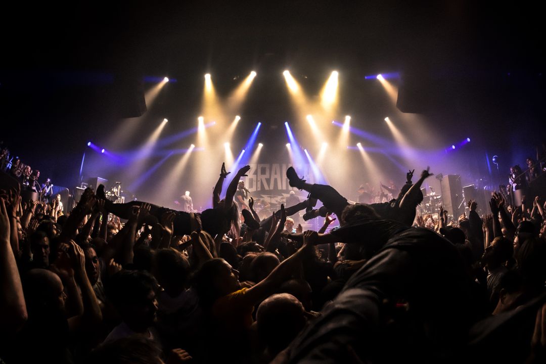 Zebrahead live in Utrecht, The Netherlands