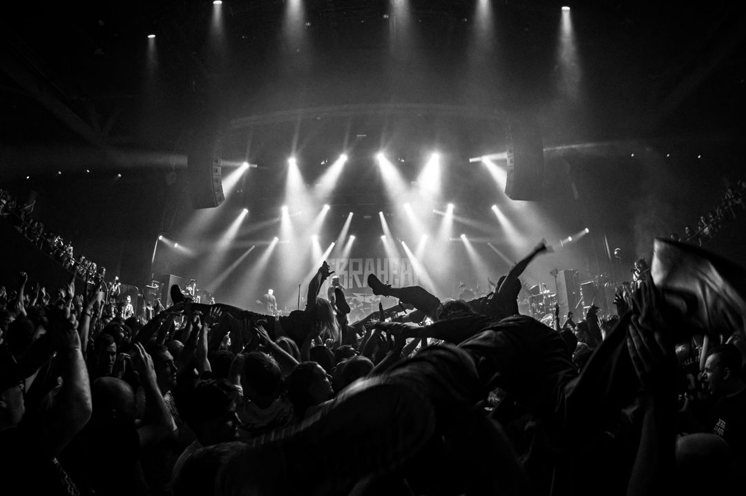 Zebrahead live in Utrecht, The Netherlands