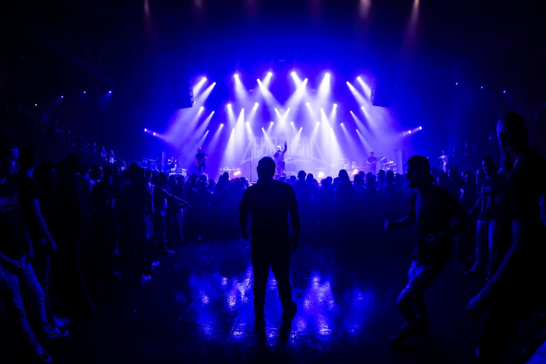 Zebrahead live in Utrecht, The Netherlands