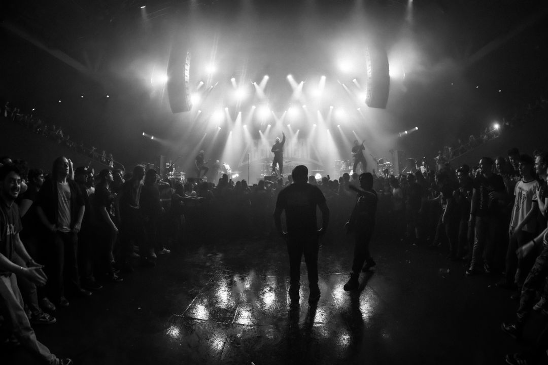 Zebrahead live in Utrecht, The Netherlands