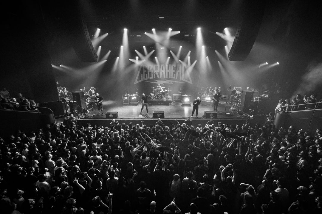 Zebrahead live in Utrecht, The Netherlands
