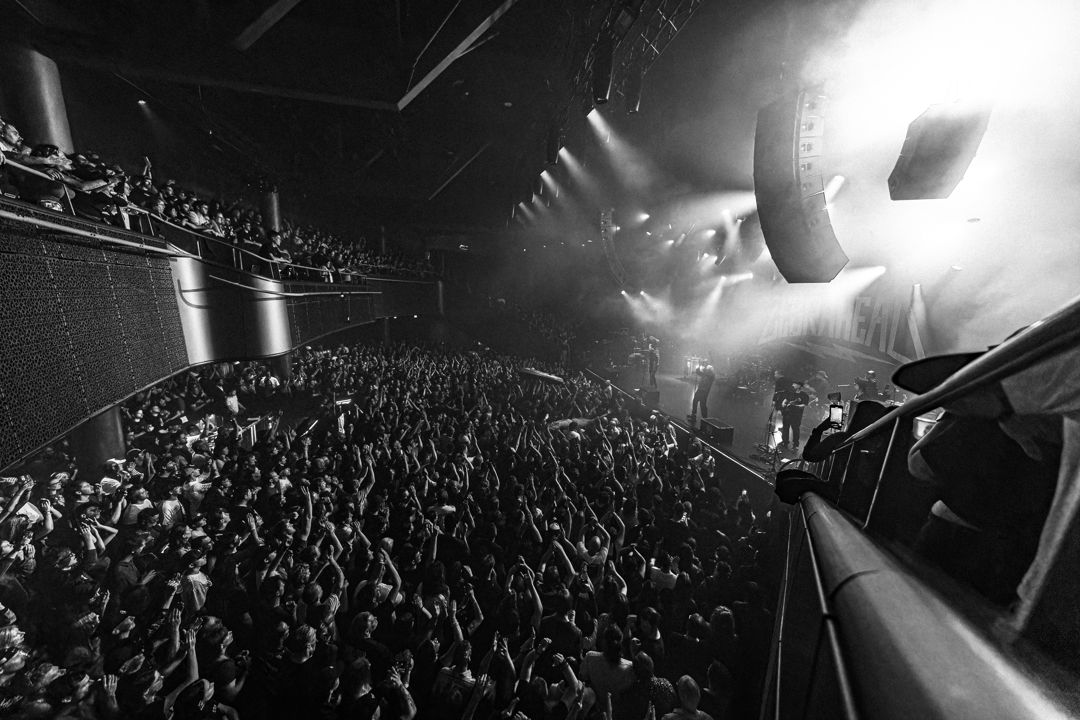 Zebrahead live in Utrecht, The Netherlands
